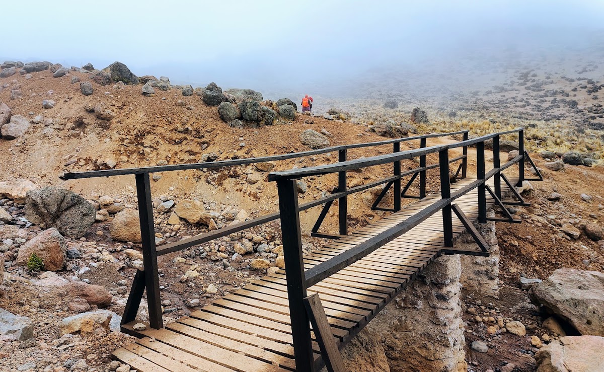 Kilimandjaro J2 : Machame Camp vers Shira Camp – Shira Camp, Parc national du Kilimandjaro (photo 1)