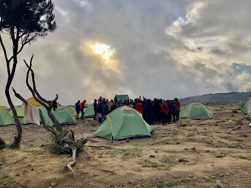 Kilimandjaro J2 : Machame Camp vers Shira Camp – Shira Camp, Parc national du Kilimandjaro (photo 2)