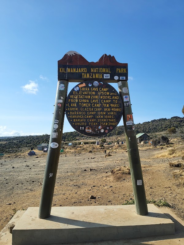 Kilimandjaro J2 : Machame Camp vers Shira Camp – Shira Camp, Parc national du Kilimandjaro (photo 3)