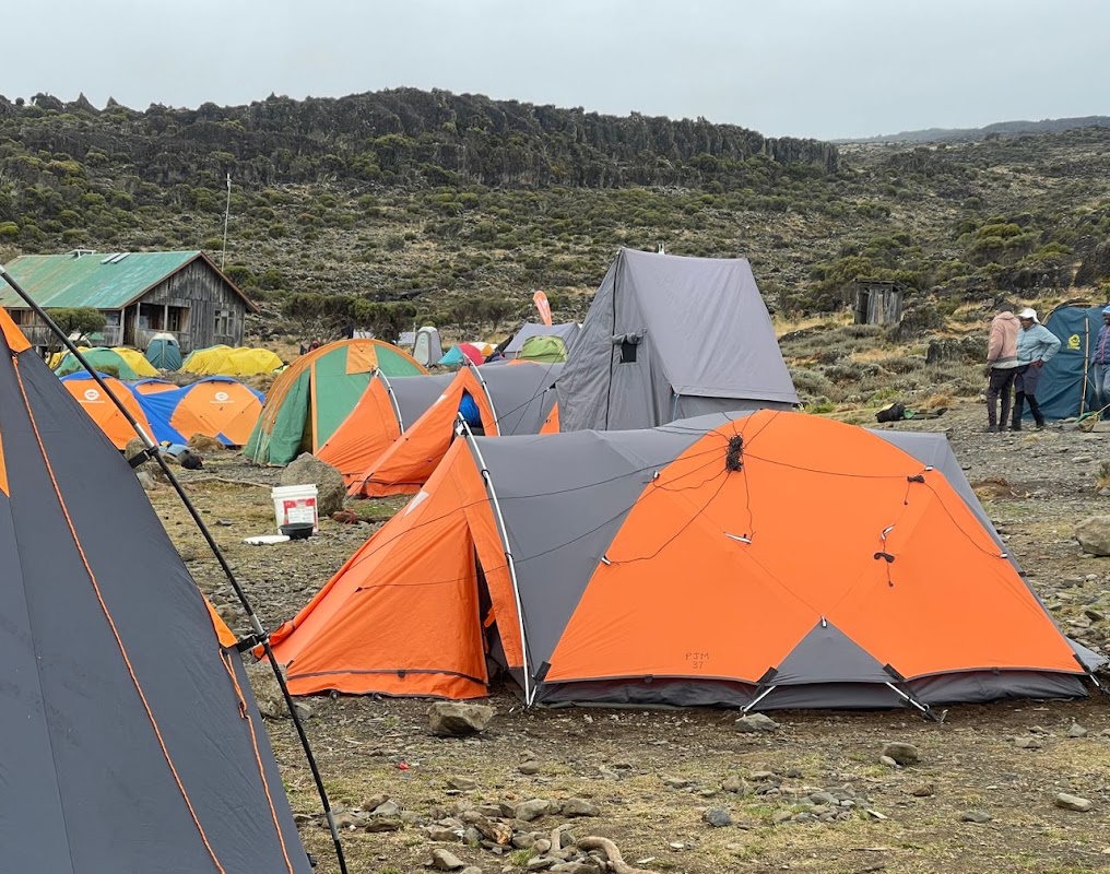Kilimandjaro J3 : Shira, Lava Tower, Barranco – Barranco Camp, Parc national du Kilimandjaro (photo 1)