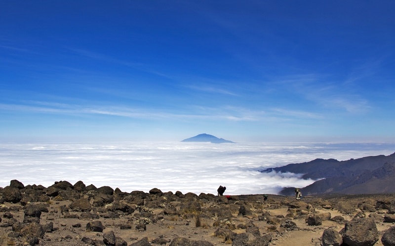 Kilimandjaro J5 : sommet Uhuru Peak et descente – Uhuru Peak, Parc national du Kilimandjaro (photo 3)