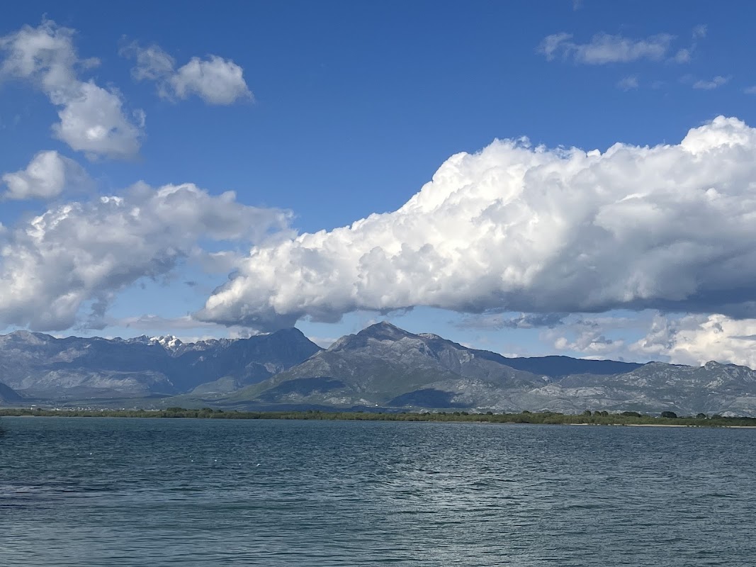 Lac Skadar (rives près de Shkodër) – Rives du lac Skadar, près de Shkodër, Albanie (photo 1)