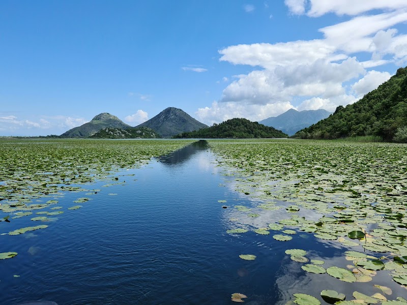 Lac Skadar (rives près de Shkodër) – Rives du lac Skadar, près de Shkodër, Albanie (photo 2)