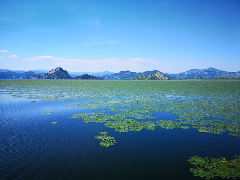 Lac Skadar (rives près de Shkodër) – Rives du lac Skadar, près de Shkodër, Albanie (photo 3)