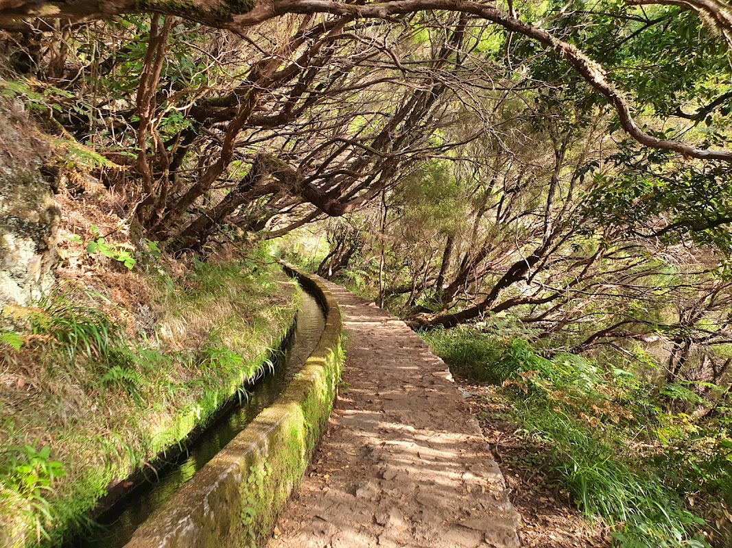 Levada das 25 Fontes (PR6) – ER110 15, Portugal (photo 1)