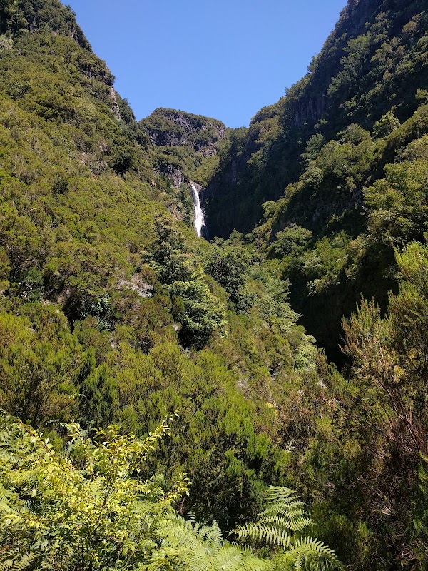 Levada das 25 Fontes (PR6) – ER110 15, Portugal (photo 2)