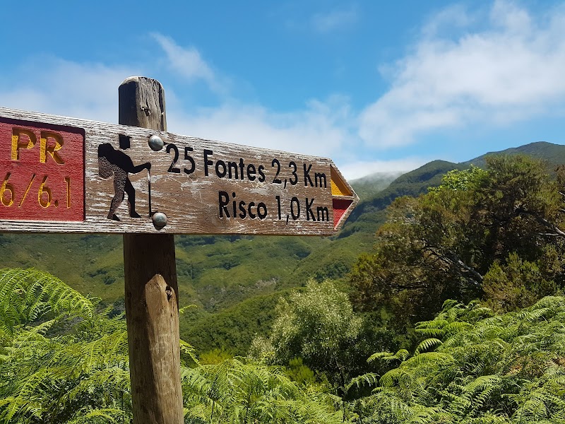 Levada das 25 Fontes (PR6) – ER110 15, Portugal (photo 3)