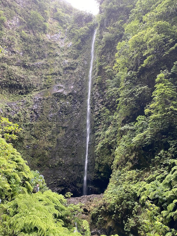 Levada do Caldeirão Verde (PR9) – Levada do Caldeirão Verde, 9230, Portugal (photo 1)