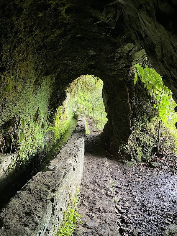 Levada do Caldeirão Verde (PR9) – Levada do Caldeirão Verde, 9230, Portugal (photo 2)