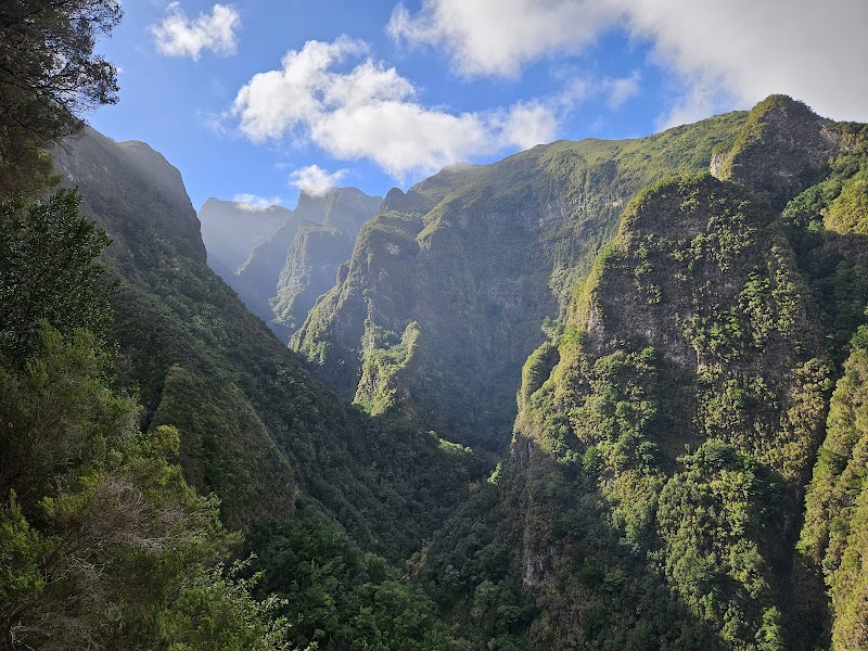 Levada do Caldeirão Verde (PR9) – Levada do Caldeirão Verde, 9230, Portugal (photo 3)