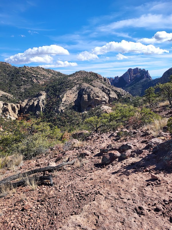 Lost Mine Trail – Big Bend National Park, TX 79834, États-Unis (photo 2)