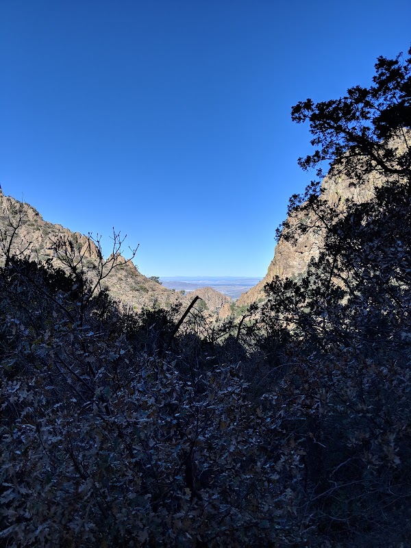 Lost Mine Trail – Big Bend National Park, TX 79834, États-Unis (photo 3)