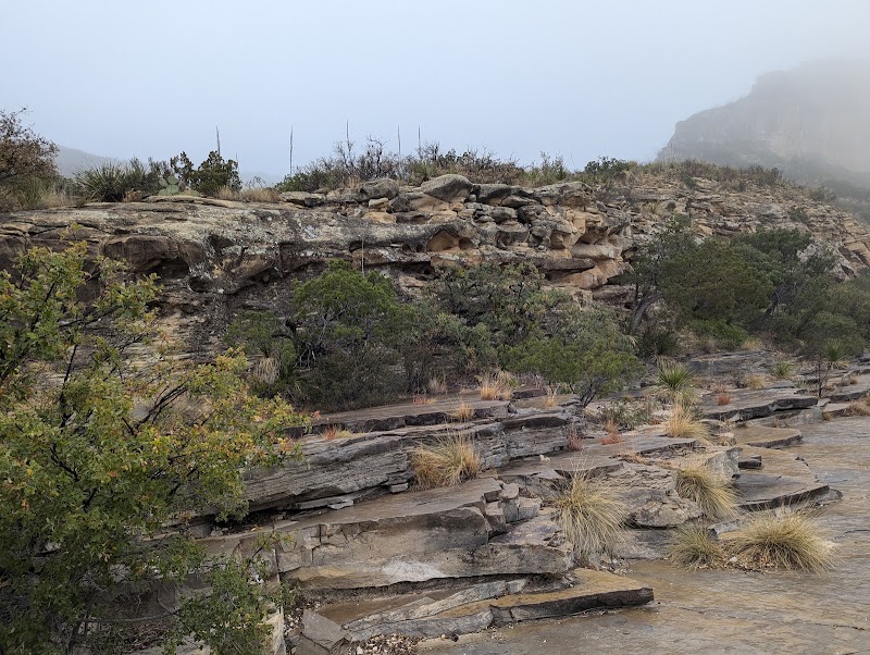McKittrick Canyon – McKittrick Canyon Rd, Salt Flat, TX 79847, États-Unis (photo 2)
