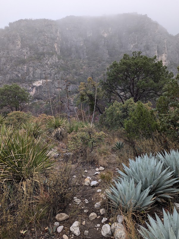 McKittrick Canyon – McKittrick Canyon Rd, Salt Flat, TX 79847, États-Unis (photo 3)
