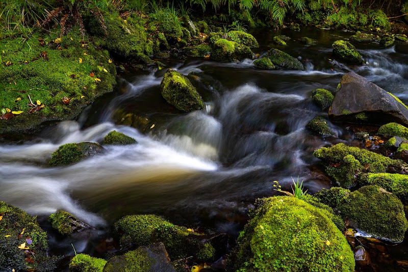 McLean Falls – McLean Falls Track, Otago 9586, Nouvelle-Zélande (photo 3)