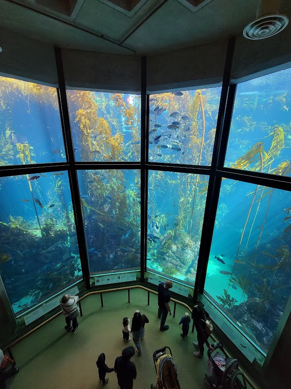 Monterey Bay Aquarium – 886 Cannery Row, Monterey, CA 93940, USA (photo 1)
