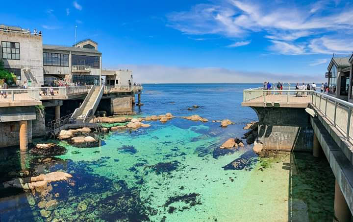 Monterey Bay Aquarium – 886 Cannery Row, Monterey, CA 93940, USA (photo 2)