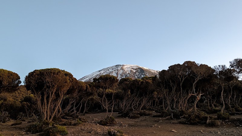 Mweka Camp – Mweka Camp, parc national du Kilimandjaro (photo 3)