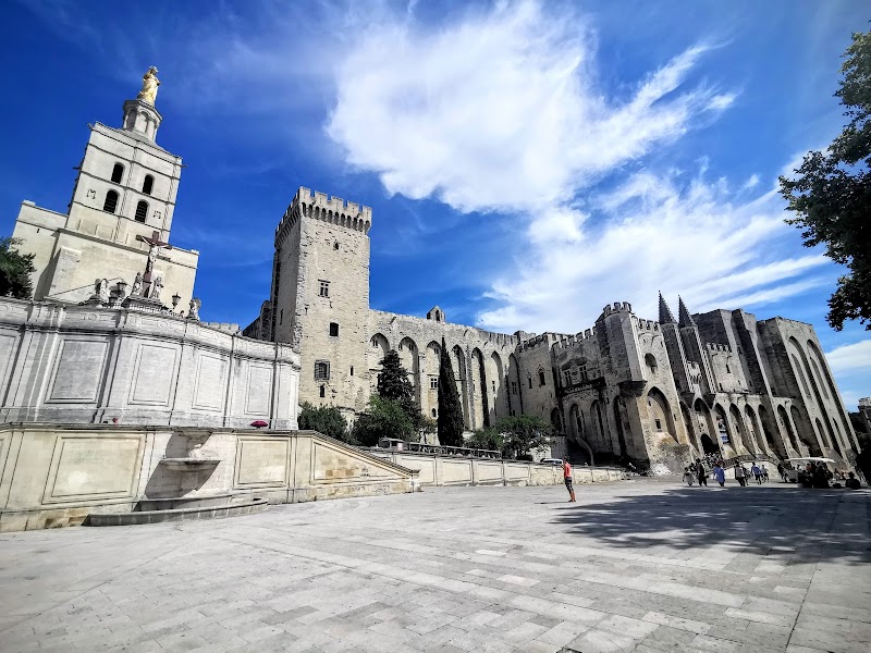 Palais des Papes – Pl. du Palais, 84000 Avignon, France (photo 3)