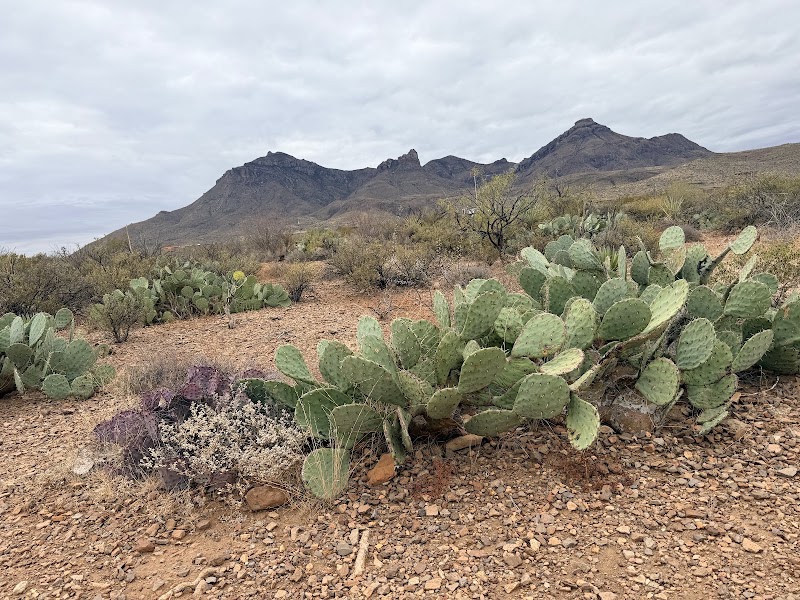 Panther Junction Visitor Center – 1 Panther Junction, Big Bend National Park, TX 79834, États-Unis (photo 2)
