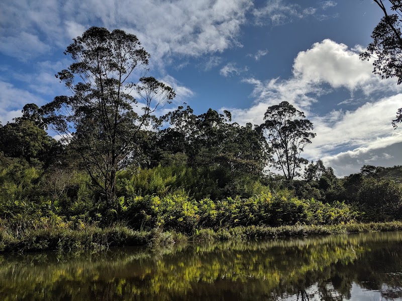Parc National Andasibe-Mantadia (section Mantadia) – Andasibe-Mantadia National Park, Madagascar (photo 3)