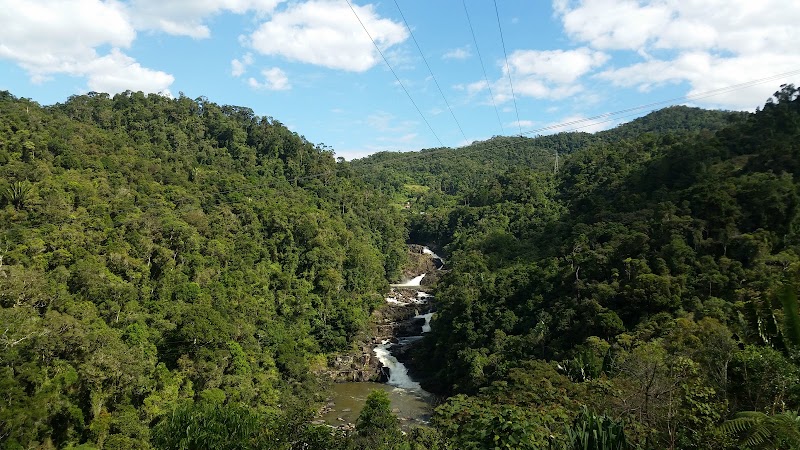 Parc National de Ranomafana : grande randonnée guidée – Ranomafana National Park, Madagascar (photo 2)