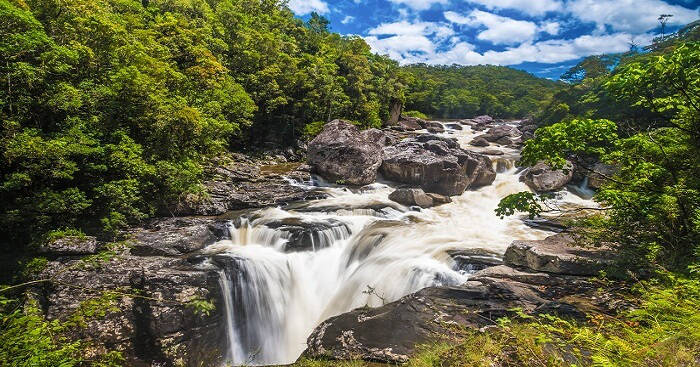Parc National de Ranomafana : grande randonnée guidée – Ranomafana National Park, Madagascar (photo 3)