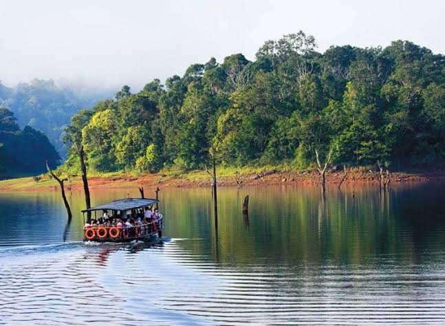 Periyar National Park – Kerala, India (photo 1)