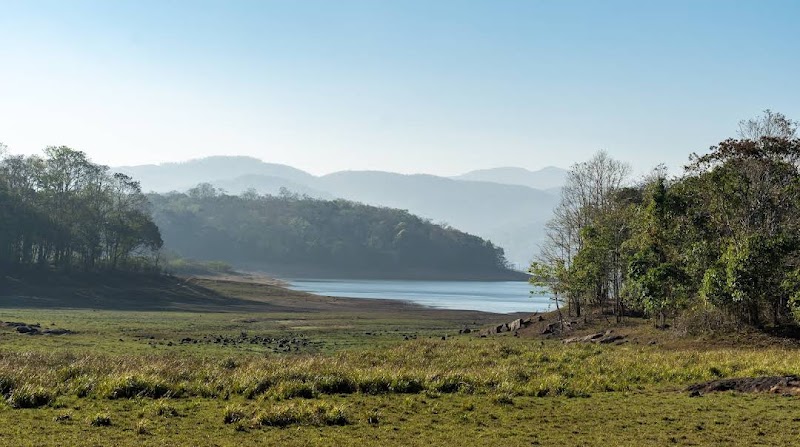 Periyar National Park – Kerala, India (photo 2)