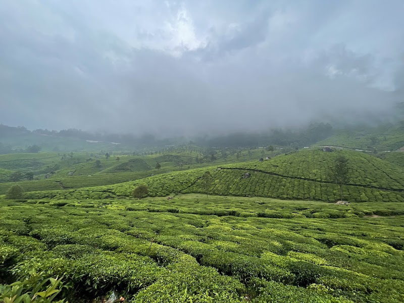 Periyar National Park – Kerala, India (photo 3)