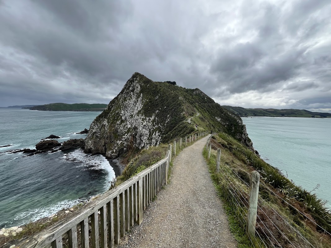 Phare de Nugget Point – The Nuggets Road, Ahuriri Flat 9271, Nouvelle-Zélande (photo 1)