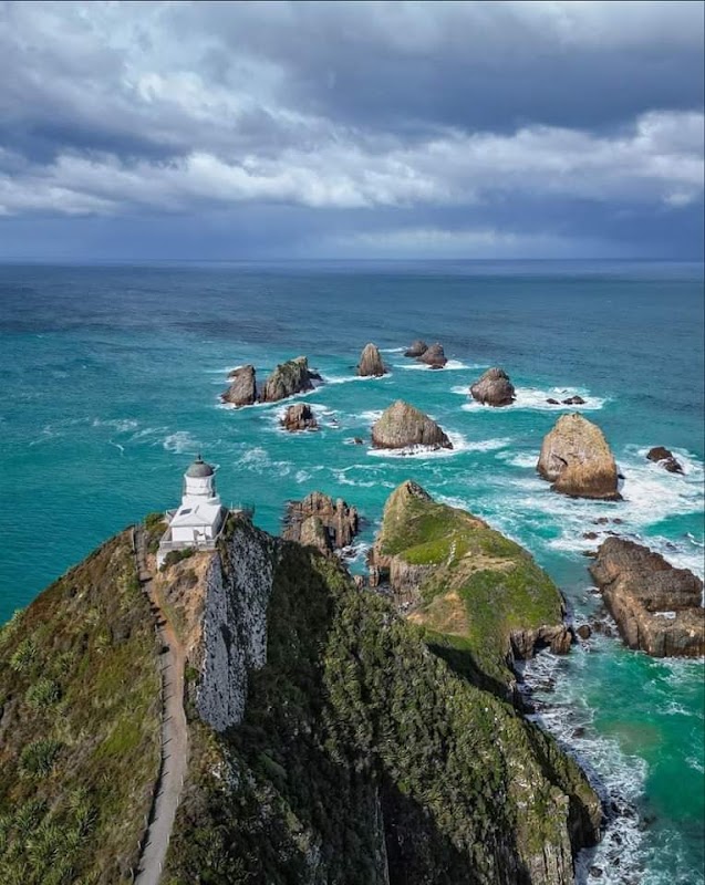 Phare de Nugget Point – The Nuggets Road, Ahuriri Flat 9271, Nouvelle-Zélande (photo 3)