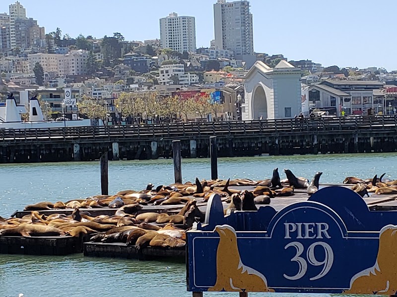 PIER 39 – The Embarcadero, San Francisco, CA 94133, USA (photo 3)
