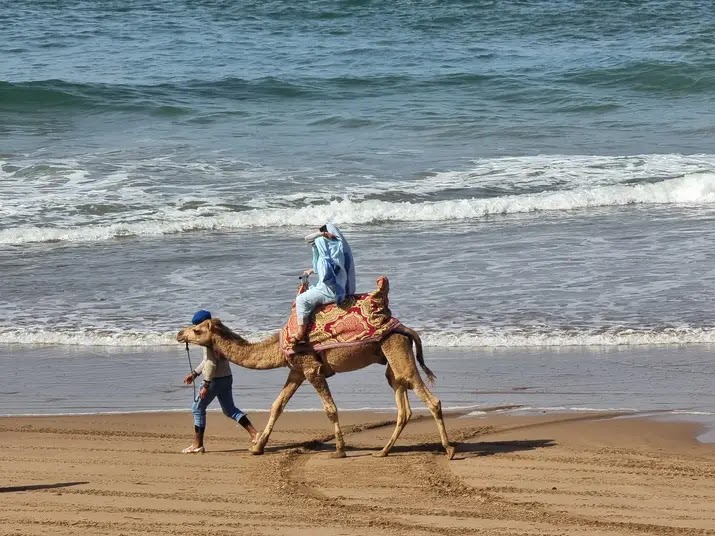 Plage de Legzira (Sidi Ifni) – Plage de Legzira, Sidi Ifni, Maroc (photo 3)