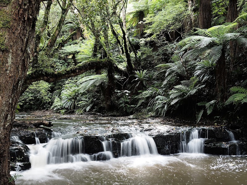 Purakaunui Falls – Purakaunui Falls, Purakaunui 9586, Nouvelle-Zélande (photo 3)