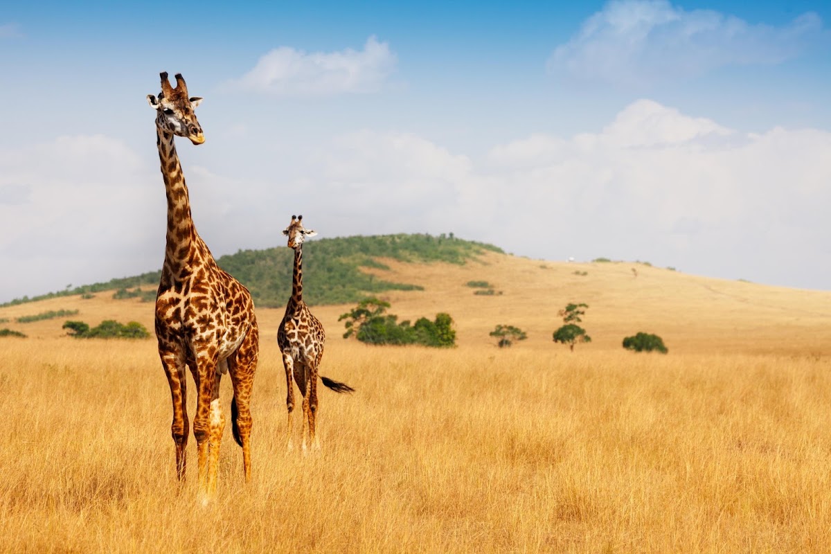 Rencontre communauté masaï – Talek, Masai Mara (photo 1)