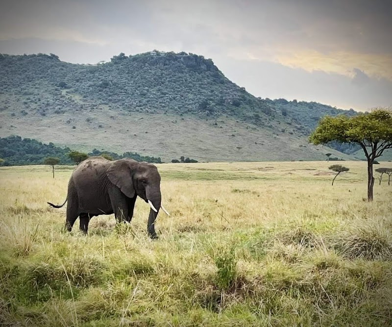 Rencontre communauté masaï – Talek, Masai Mara (photo 3)