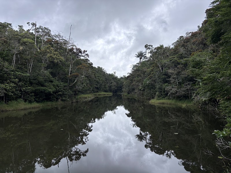 Réserve spéciale d'Analamazaotra – Reserve Analamazaotra, Andasibe 514, Madagascar (photo 3)