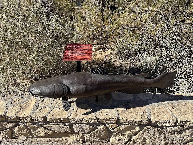 Rio Grande Village Visitor Center – Rio Grande Village, Big Bend National Park, TX 79834, États-Unis (photo 2)