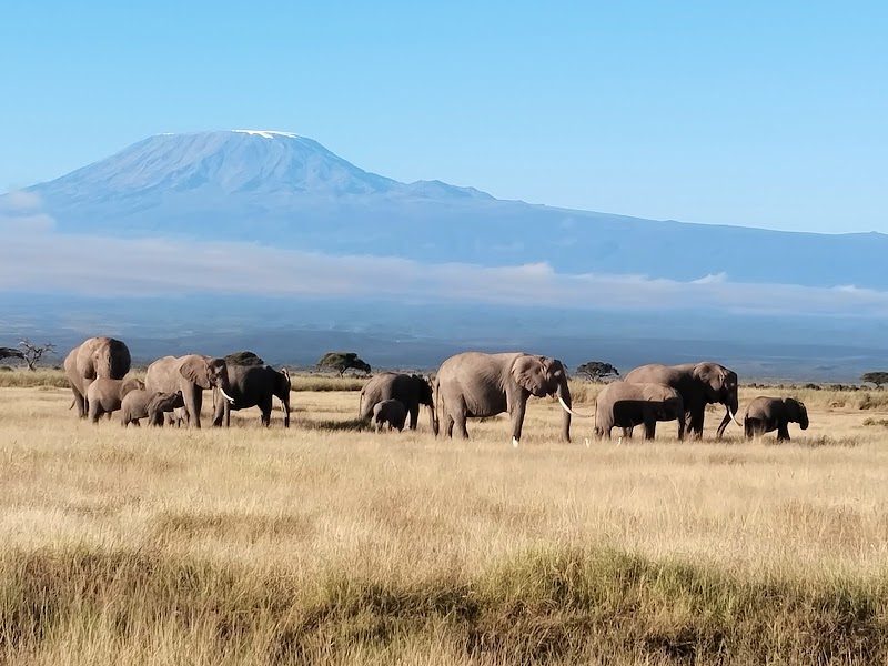 Safari game drive à Amboseli – Amboseli National Park (photo 2)