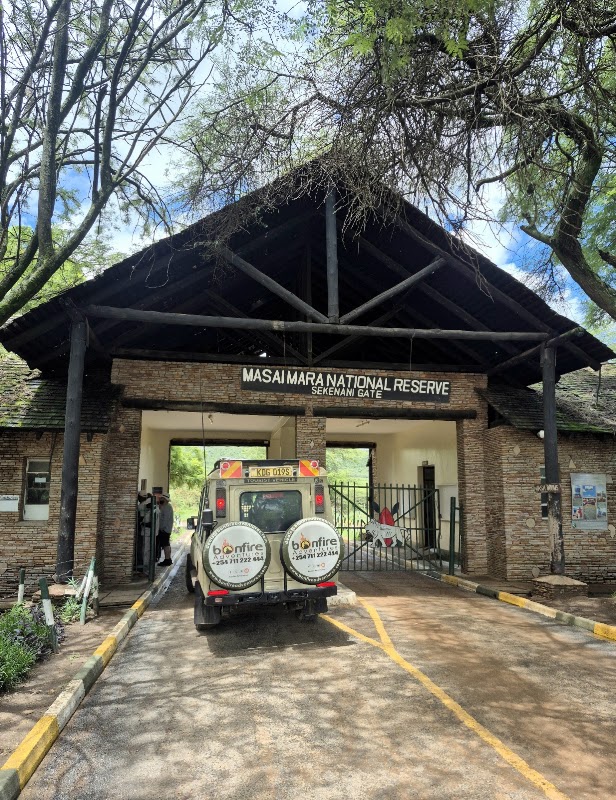 Safari game drive au Masai Mara – Sekenani Gate, Masai Mara (photo 1)