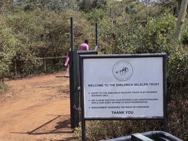 Sheldrick Wildlife Trust – Magadi Rd, Nairobi (photo 3)