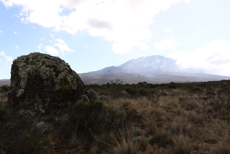 Shira 2 Camp – Shira 2 Camp, parc national du Kilimandjaro (photo 2)