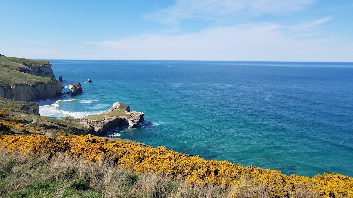 Tunnel Beach – Tunnel Beach Track, Otago 9076, Nouvelle-Zélande (photo 1)