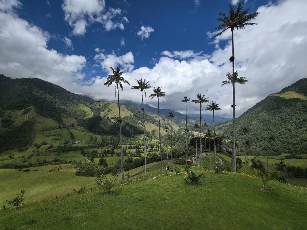 Vallée de Cocora – Valle de Cocora, Salento, Quindío, Colombie (photo 1)
