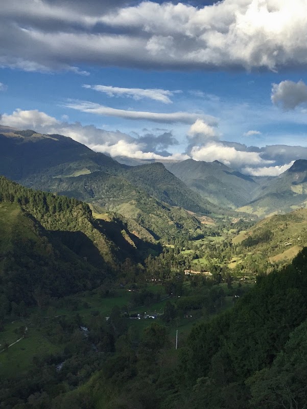 Vallée de Cocora – Valle de Cocora, Salento, Quindío, Colombie (photo 3)