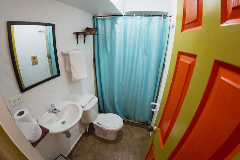 Viajero Hostel Salento – Viajero Hostel Salento, Salento, Colombie (photo 3)