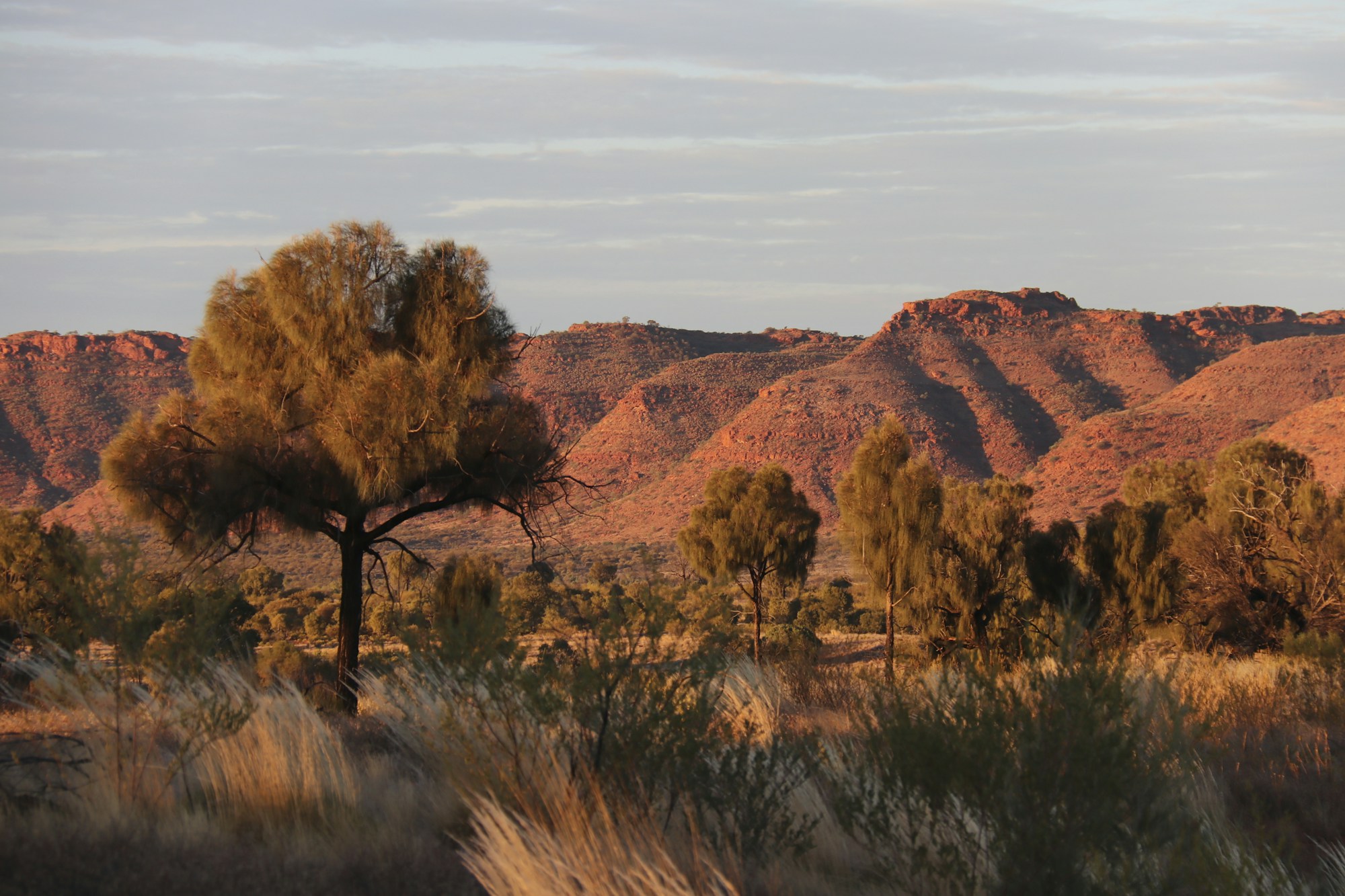 Camp im australischen Outback unter der Milchstrasse