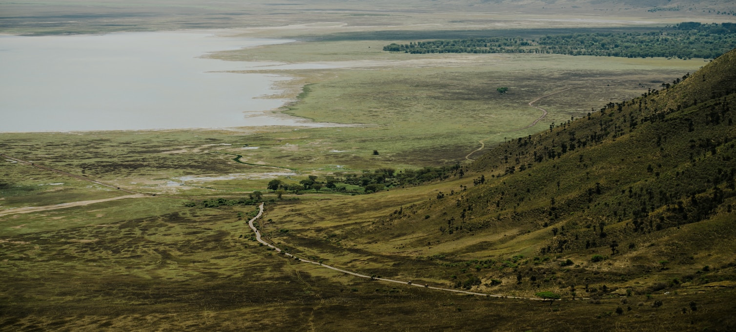 Vue panoramique du cratère du Ngorongoro et sa faune en Tanzanie