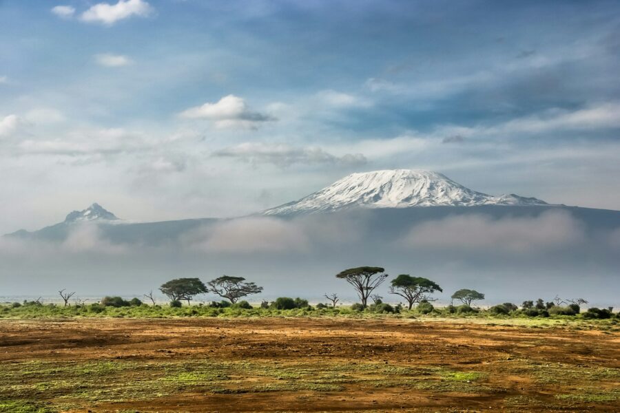 Le Kilimandjaro enneigé dominant la savane, Tanzanie
